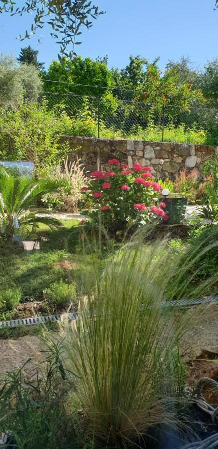 La Bastide Aux Oliviers Hotell Tourrettes-sur-Loup Exteriör bild
