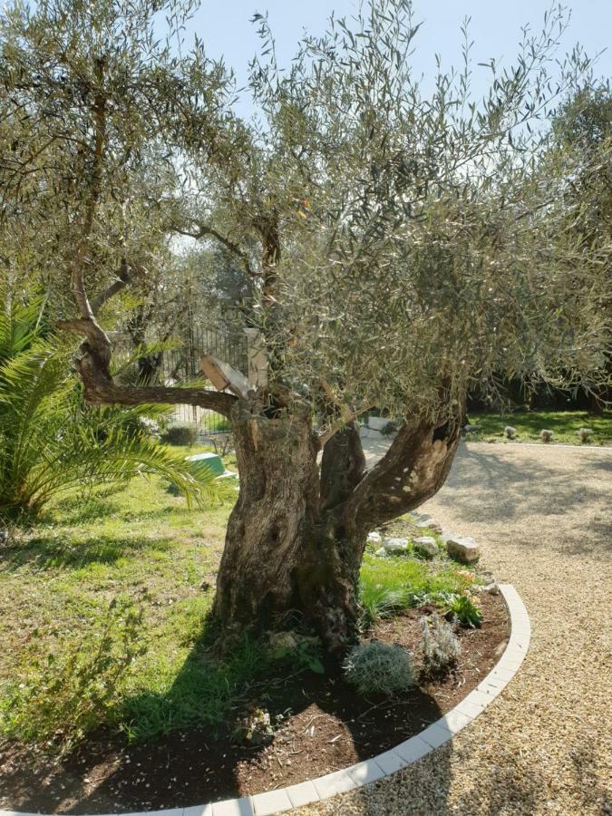 La Bastide Aux Oliviers Hotell Tourrettes-sur-Loup Exteriör bild